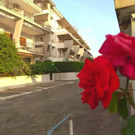 Daire Isola Felice Scalea